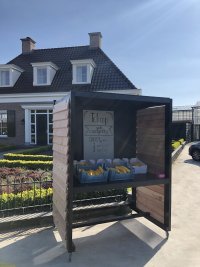 Courgettes Fa. B.A. Doelman